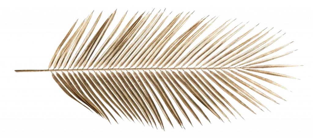 칸 영화제 최고상인 황금종려상(Palme d'Or) 트로피의 클로즈업 이미지